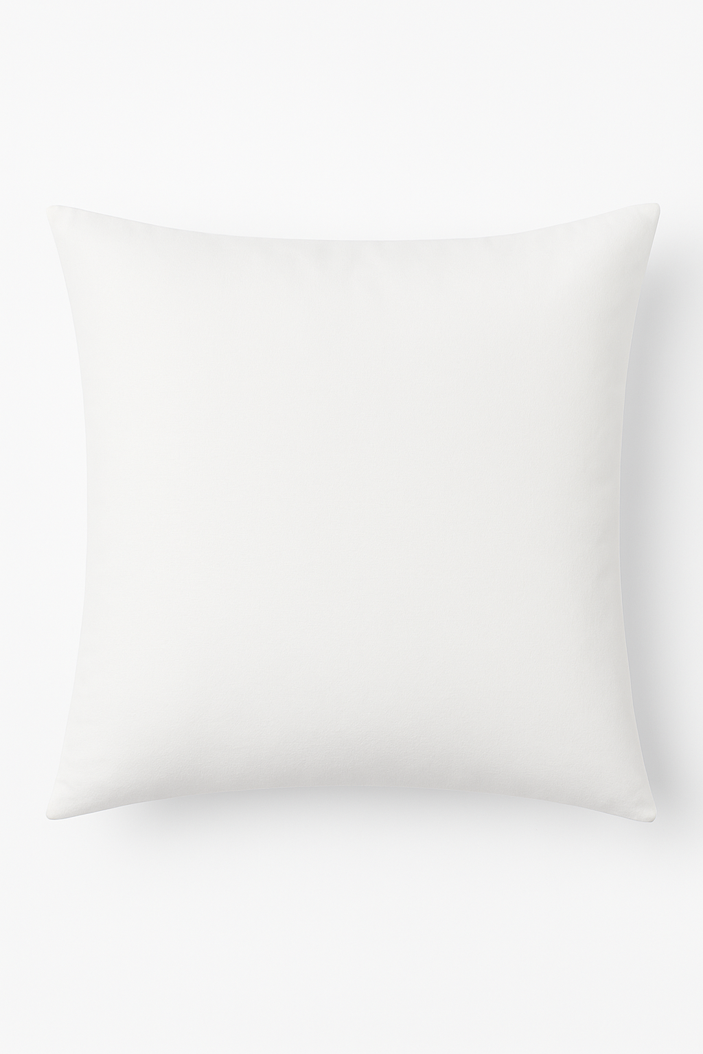 housse de coussin en velours personnalisable 25 couleurs disponibles