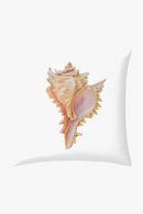 housse-de-coussin-motif-marin-coquillage-et-conque-0.png