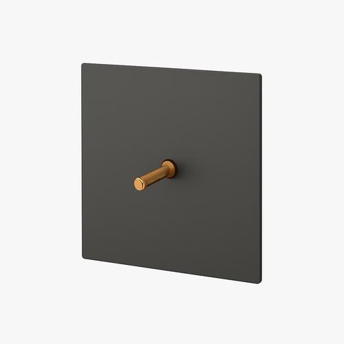 interrupteur-simple-interm-diaire-switch-en-acier-gris-bross-et-dor-0.png