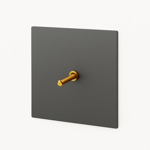 interrupteur-vintage-bascule-avec-prise-usb-et-deux-voies-0.png