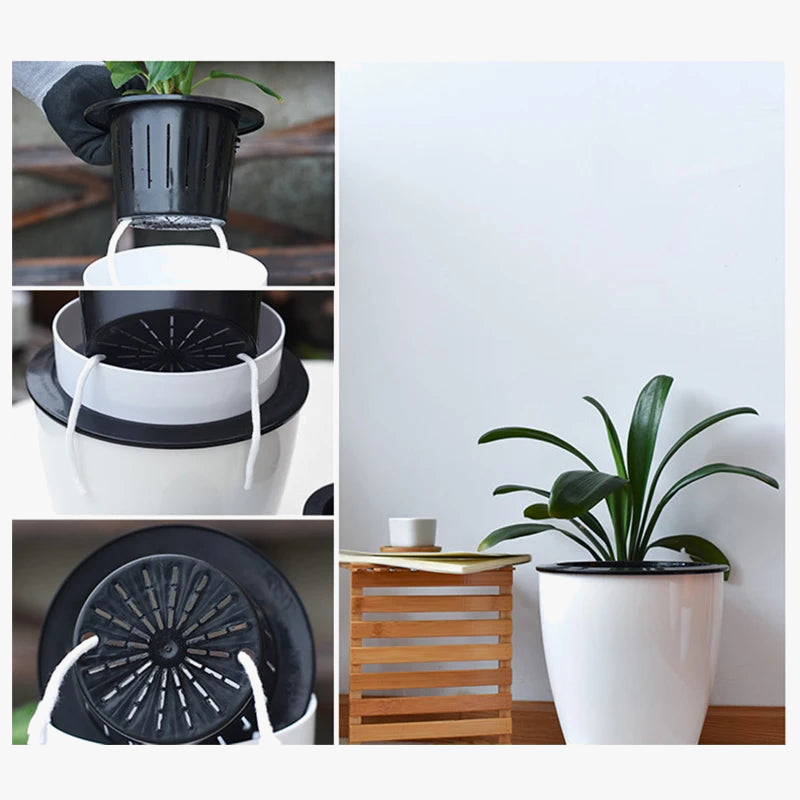 jardini-re-auto-arrosante-moderne-pour-plantes-succulentes-et-orchid-es-4.png