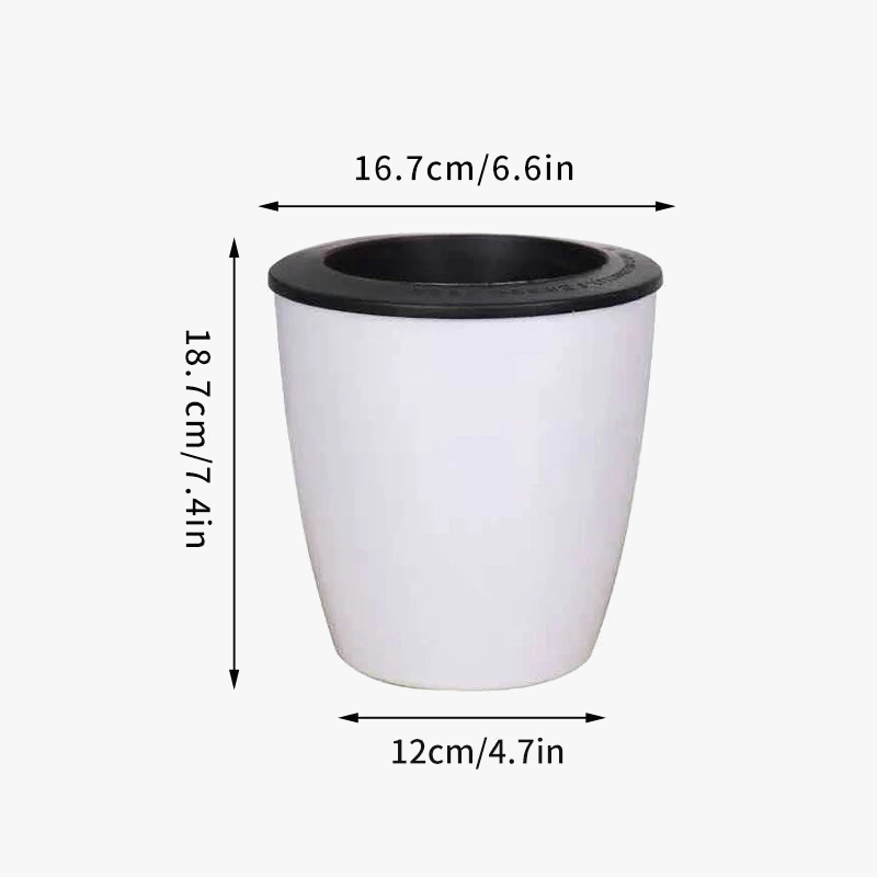 jardini-re-auto-arrosante-moderne-pour-plantes-succulentes-et-orchid-es-6.png