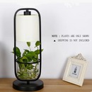 lampe-de-bureau-led-pour-lecture-et-tude-avec-abat-jour-3.png