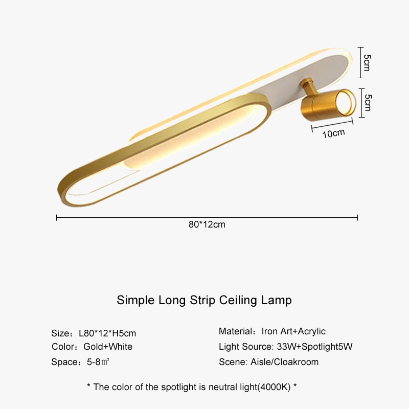 lampe-de-plafond-moderne-leds-avec-projecteur-d-coratif-8.png