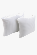 noyaux-de-coussins-en-coton-modernes-et-ray-s-3.png