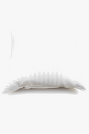 noyaux-de-coussins-en-coton-modernes-et-ray-s-5.png