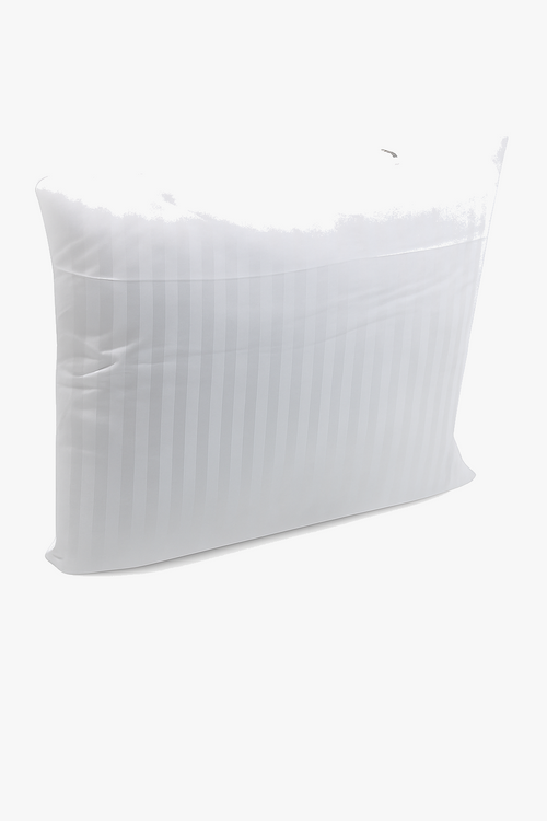 noyaux-de-coussins-en-coton-modernes-et-ray-s-7.png