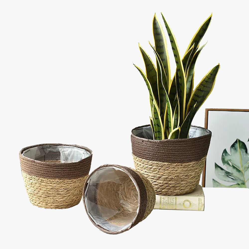 panier en jonc de mer jardinière tissée à la main décoratif pour la maison