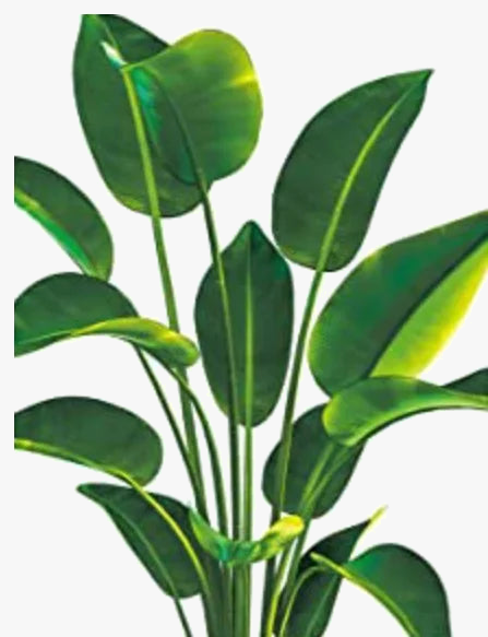 peinture-diamant-5d-plantes-vertes-broderie-mosa-que-d-coration-murale-6.png