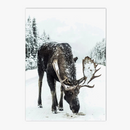 peinture-murale-for-t-enneig-e-avec-animaux-nordiques-d-corative-6.png