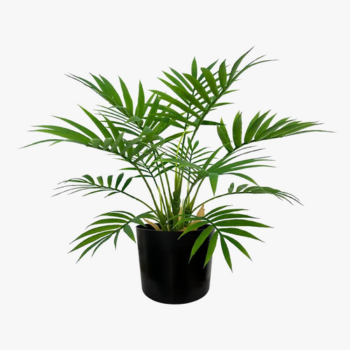 petites-plantes-en-plastique-palmier-artificiel-pour-d-coration-int-rieure-et-ext-rieure-2.png