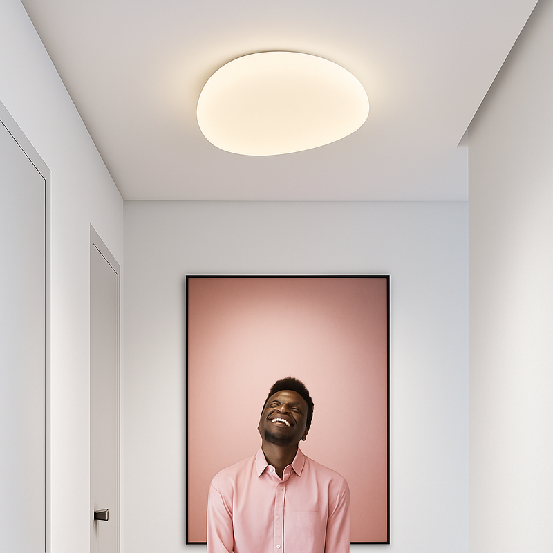 plafonnier à galets à succion pour intérieur et extérieur