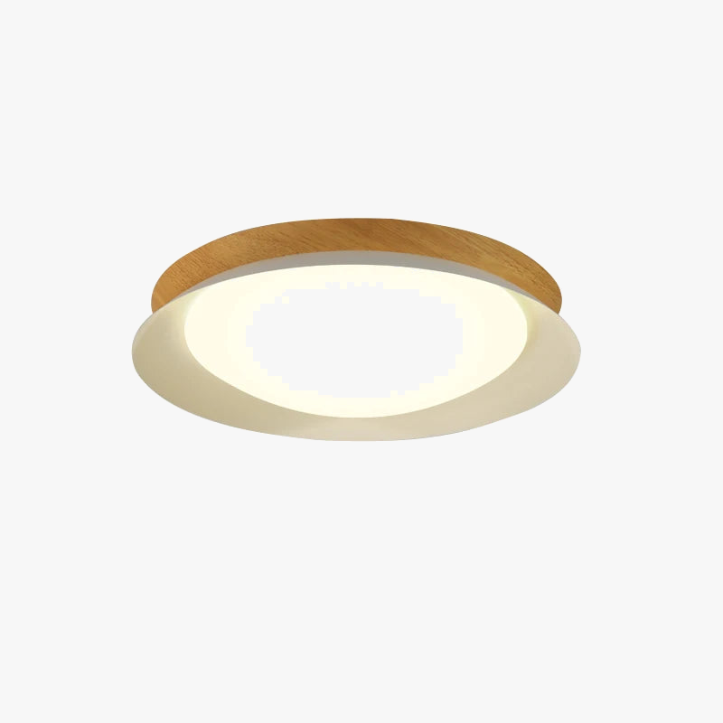 plafonnier-led-minimaliste-nordique-lampe-ronde-luminaire-d-int-rieur-5.png