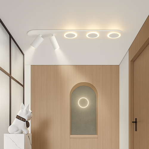 plafonnier led moderne avec projecteur pour intérieur décoratif - vue 5 sur 16