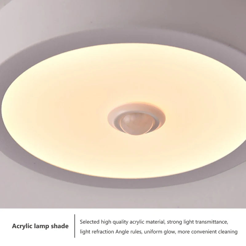 plafonnier-led-moderne-pour-d-coration-de-maison-et-h-tel-5.png