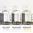 plafonnier ventilateur de plafond lumineux et silencieux