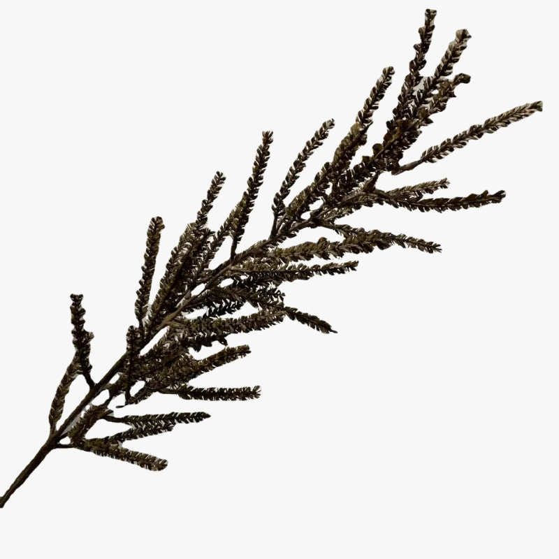 plante-artificielle-dherbe-de-bl-d-coration-naturelle-pour-int-rieur-1.png