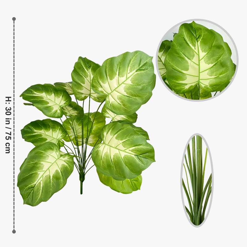 plante-monstera-r-aliste-pour-d-coration-int-rieure-moderne-6.png