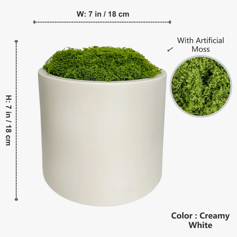 plante-monstera-r-aliste-pour-d-coration-int-rieure-moderne-9.png