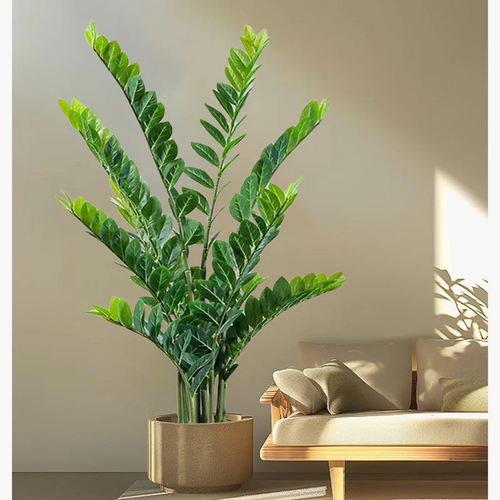 plantes-artificielles-arbre-argent-tropical-d-coratif-en-plastique-r-aliste-0.png