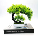 plantes-artificielles-bonsa-d-coratif-pour-bureau-et-maison-6.png