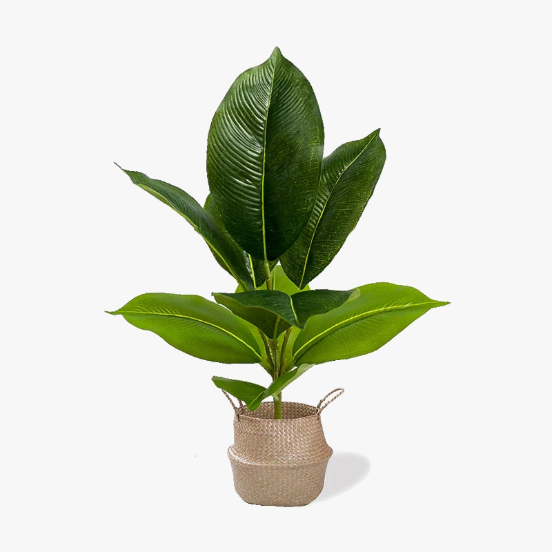 plantes artificielles branche faux ficus en caoutchouc pour décoration intérieure