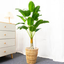 plantes-artificielles-tropicales-pour-d-coration-int-rieure-et-ext-rieure-2.png