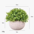 plantes-vertes-artificielles-en-pot-pour-d-coration-int-rieure-et-ext-rieure-3.png