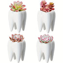 porte-brosse-dents-en-c-ramique-en-forme-de-dent-cr-ative-et-d-corative-4.png