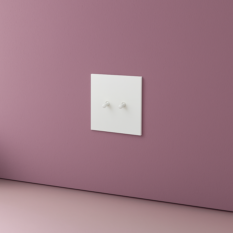 Prise électrique et double USB et USB type C (Europe) en acier blanc mat