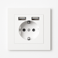 Prise électrique et double USB (Europe) en acier blanc mat