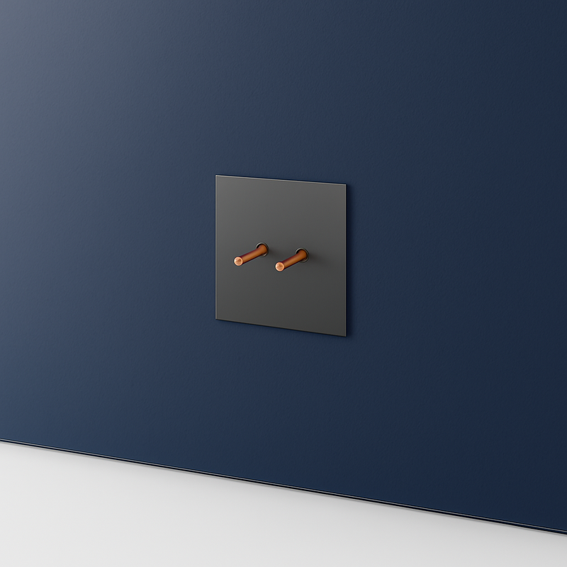 Prise électrique et double USB type C (Europe) en acier gris brossé