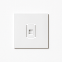 Prise RJ45 en acier blanc mat