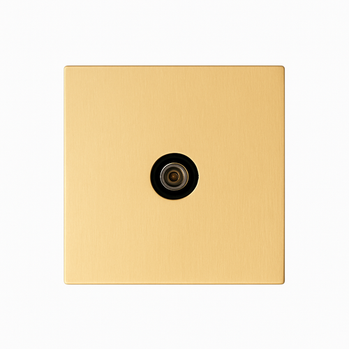 Prise TV en acier doré brossé