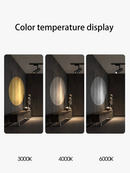 projecteur-de-lumi-re-led-pour-bar-restaurant-et-sc-ne-commerciale-4.png