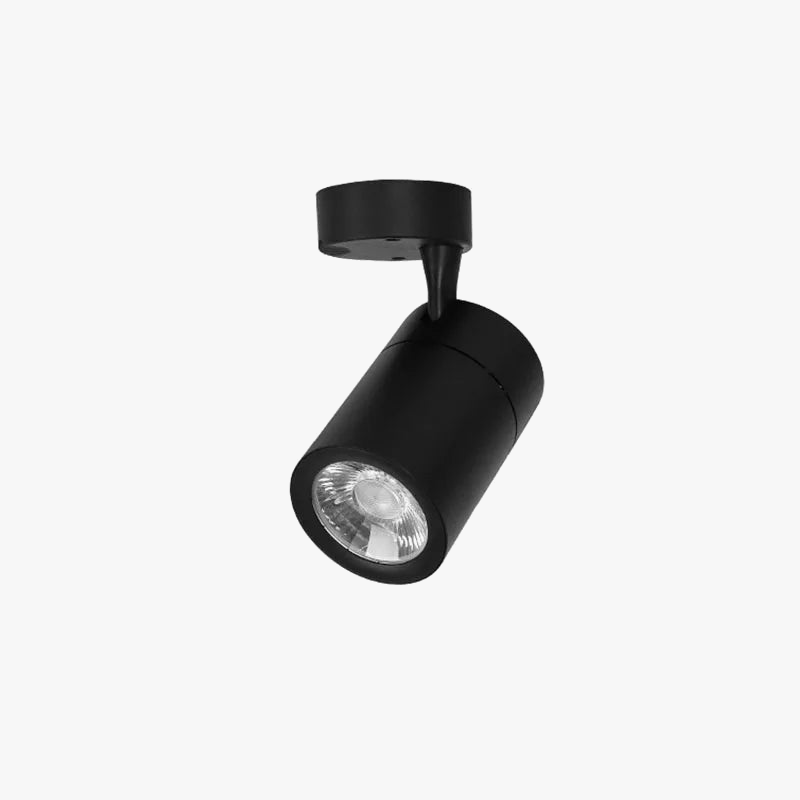 projecteurs-led-qiuboss-intensit-variable-pour-loft-6.png