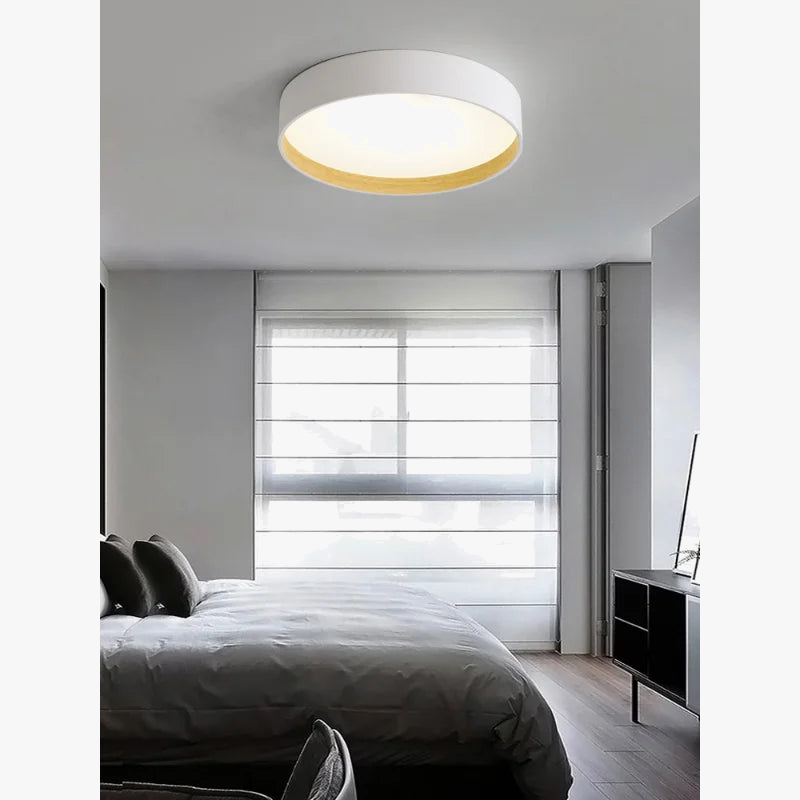 sandyha-moderne-chambre-plafond-lampara-colgantes-para-techo-salon-d-coration-int-rieure-salon-maison-grenier-dortoir-clairage-3.png