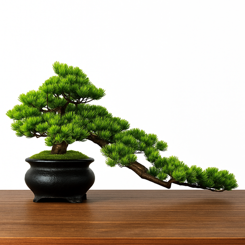 simulation arbre bonsaï pour décoration intérieure et aménagement extérieur - vue 3 sur 31