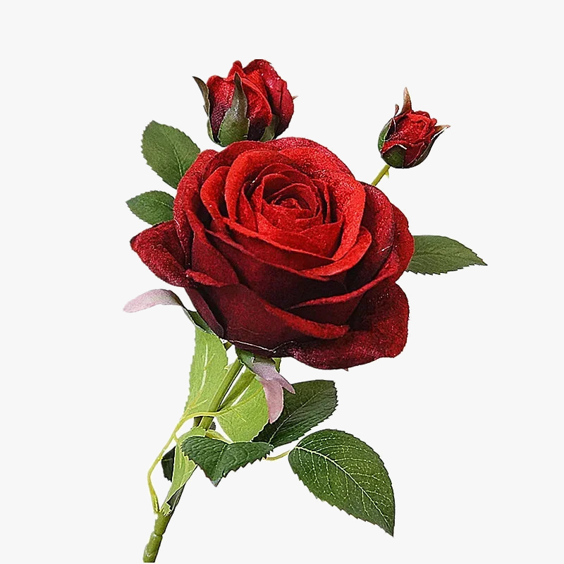 simulation-de-roses-en-velours-pour-d-coration-l-gante-1.png