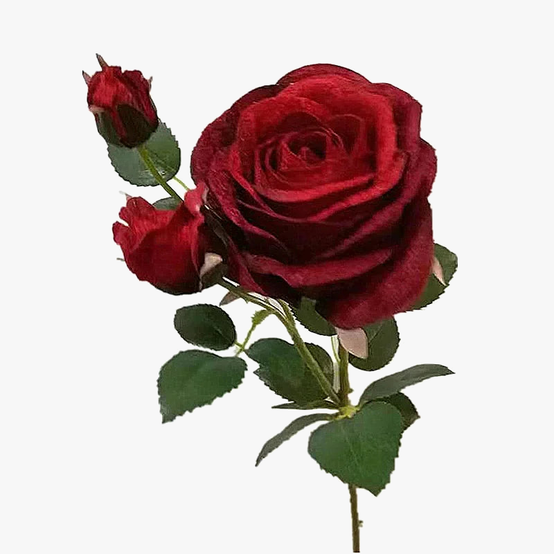 simulation-de-roses-en-velours-pour-d-coration-l-gante-6.png