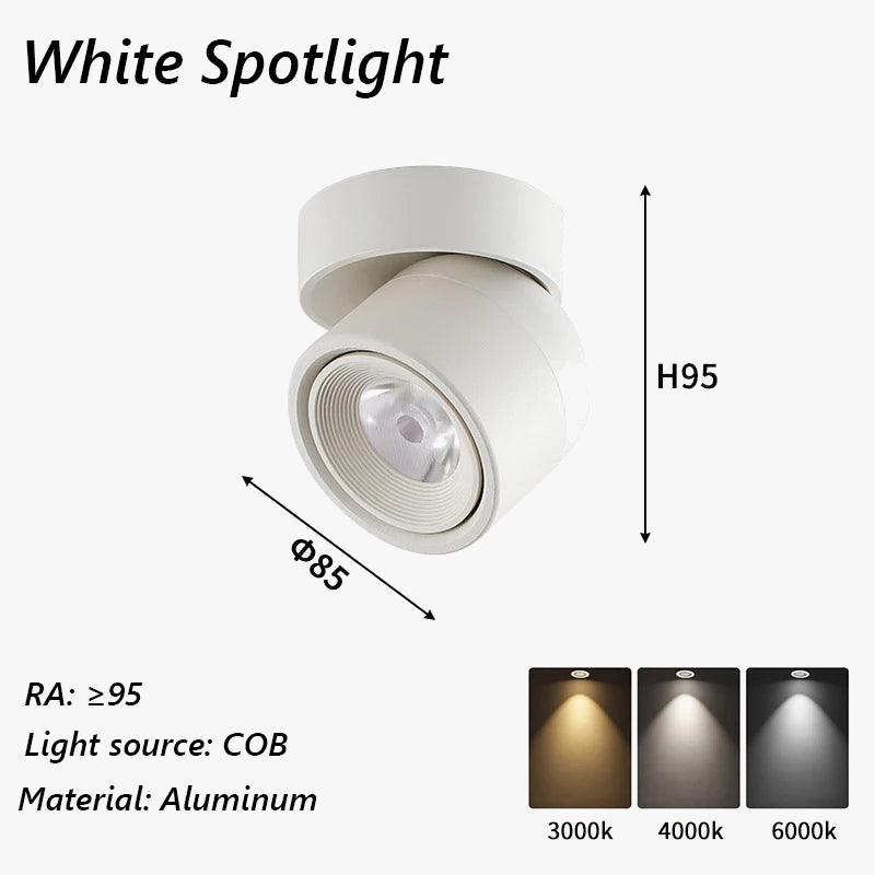 spot-led-brilm-moderne-int-rieur-aluminium-downlight-r-glable-360-6.png