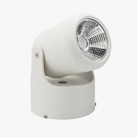 Spot LED directionnel (noir ou blanc)