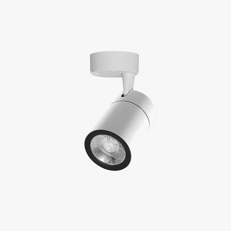 spot-led-intensit-variable-pour-clairage-int-rieur-moderne-7.png