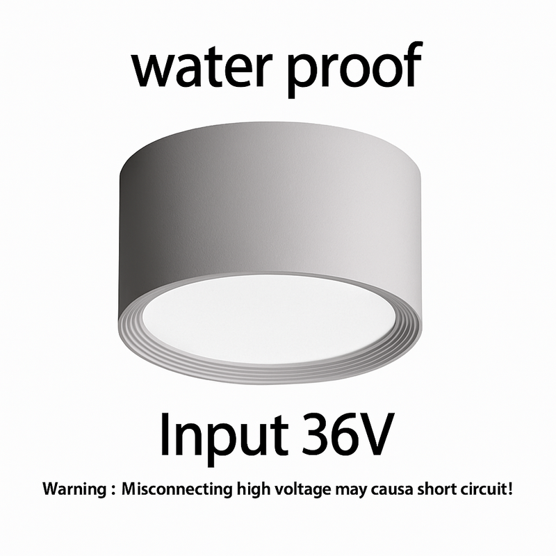 49558018949466|49558019113306|49558019244378