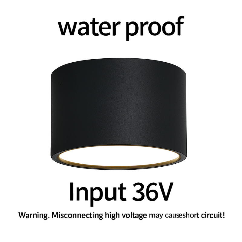 49558019342682|49558019539290|49558019637594