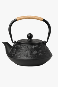 Théière japonaise fonte émaillée avec infuseur filtre maille