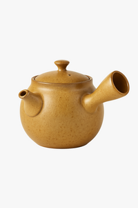 Theiere japonaise ceramique brute anse laterale avec infuseur