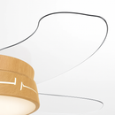 ventilateur-de-plafond-avec-lumi-re-et-contr-le-cach-moteur-dc-4.png