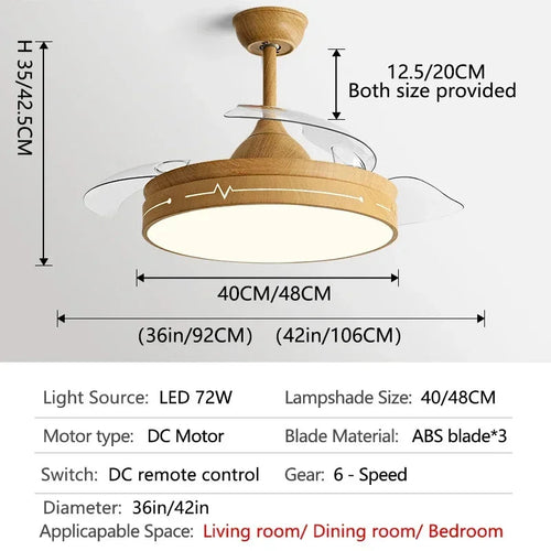 ventilateur-de-plafond-avec-lumi-re-et-contr-le-cach-moteur-dc-6.png