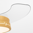 ventilateur-de-plafond-avec-lumi-re-et-contr-le-silencieux-4.png